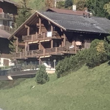 Chalet Orchis Hasliberg Exterior photo